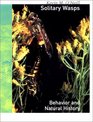 Solitary Wasps Behavior and Natural History