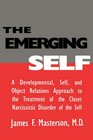 The Emerging Self A Developmental Self  Object Relations Approach to the Treatment of the Closet Narcissistic Disorder of the Self
