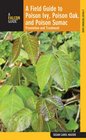 A Field Guide to Poison Ivy Poison Oak and Poison Sumac Prevention and Remedies