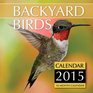 Backyard Birds Calendar 2015 16 Month Calendar