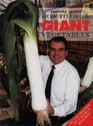 How to Grow Giant Vegetables