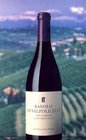 Barolo to Valpolicella Wines of Northern Italy