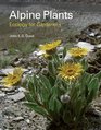 Alpine Plants Ecology for Gardeners