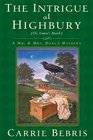 The Intrigue at Highbury: Or Emma's Match (Mr. and Mrs. Darcy, Bk 5)