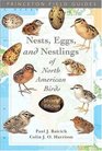 A Guide to the Nests, Eggs, and Nestlings of North American Birds (Ap Natural World)