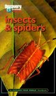 Discovery Channel Insects  Spiders An Explore Your World Handbook