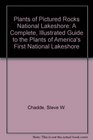 Plants of Pictured Rocks National Lakeshore A Complete Illustrated Guide to the Plants of America's First National Lakeshore
