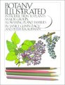 Botany Illustrated  Introduction to Plants Major Groups Flowering Plant