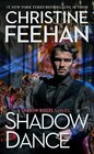 Shadow Dance (A Shadow Riders Novel)