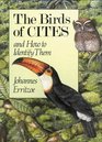 Birds of Cites And How to Identify Them