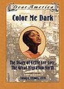 Color Me Dark The Diary of Nellie Lee Love the Great Migration North Chicago Illinois 1919