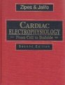 Cardiac Electrophysiology From Cell to Bedside