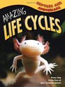 Amazing Life Cycles Reptiles and Amphibians