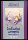 Small Animal Anesthesia Canine and Feline Practice