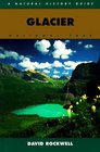 Glacier National Park A Natural History Guide