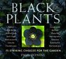 Black Plants 75 Striking Choices for the Garden