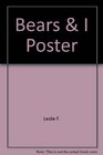Bears  I Poster