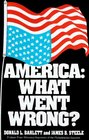 America: What Went Wrong?
