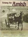 Among the Amish