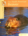Returning Wildlife The North American Beaver