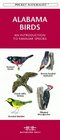 Alabama Birds An Introduction to Familiar Species