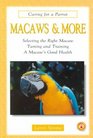 Macaws and More Selecting the Right Macaw Taming and Training a Macaw's Good Health