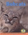 Bobcats