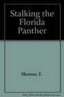 Stalking the Florida Panther