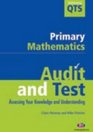 Audit and Test Primary Mathematics
