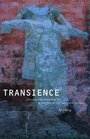 Transience  Chinese Experimental Art at the End of the Twentieth Century