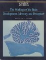 The Workings of the Brain Development Memory and Perception