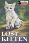 Lost Kitten (Animal Emergency)