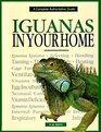 Iguanas in Your Home