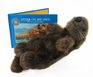 Otter on His Own The Story of a Sea Otter/Book and 12 Plush Toy