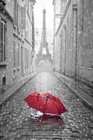 A Red Umbrella and the Eiffel Tower Paris France Journal 150 Page Lined Notebook/Diary