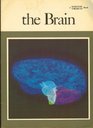 The Brain A Scientific American Book