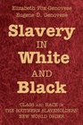 Slavery in White and Black Class and Race in the Southern Slaveholders' New World Order
