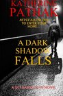 A Dark Shadow Falls The Thrilling Race To Find A Serial Killer