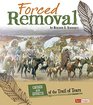 Forced Removal Causes and Effects of the Trail of Tears