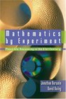 Mathematics by Experiment Plausible Reasoning in the 21st Century