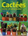 Cactes  Cactus et Succulentes