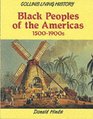 Black Peoples of the Americas 15001990s