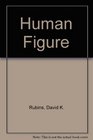 Human Figure