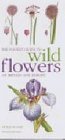 Mitchell Beazley Pocket Guide to Wild Flowers