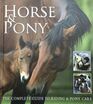 Horse  Pony The Complete Guide to Riding  Pony Care