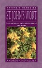 St John's Wort The Natural AntiDepressant and More
