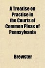 A Treatise on Practice in the Courts of Common Pleas of Pennsylvania