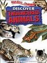 Endangered Animals