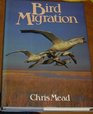 Bird Migration