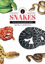 Identifying Snakes